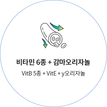 비타민 6종 + 감마오리자놀