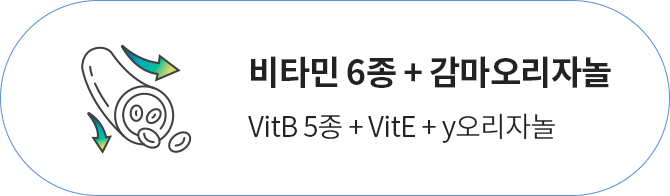 비타민 6종 + 감마오리자놀