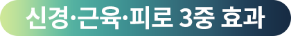 신경·근육·피로 3중 효과
