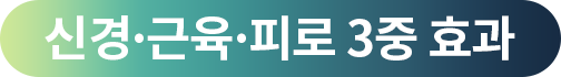 신경·근육·피로 3중 효과