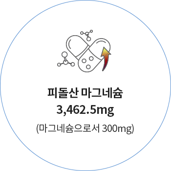 피돌산 마그네슘 3,462.5mg