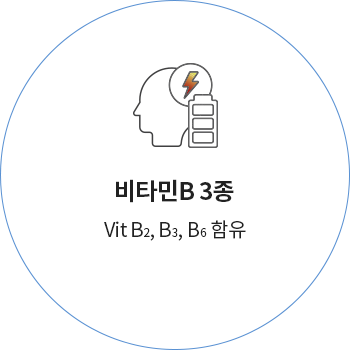비타민B 3종