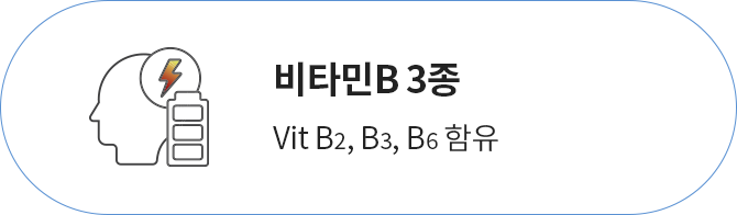 비타민B 3종